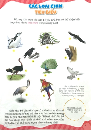 10 vạn câu hỏi vì sao - chim và động vật biển (tái bản)