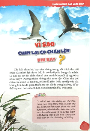 10 vạn câu hỏi vì sao - chim và động vật biển (tái bản)