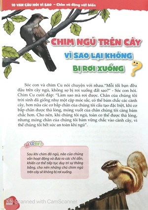 10 vạn câu hỏi vì sao - chim và động vật biển (tái bản)