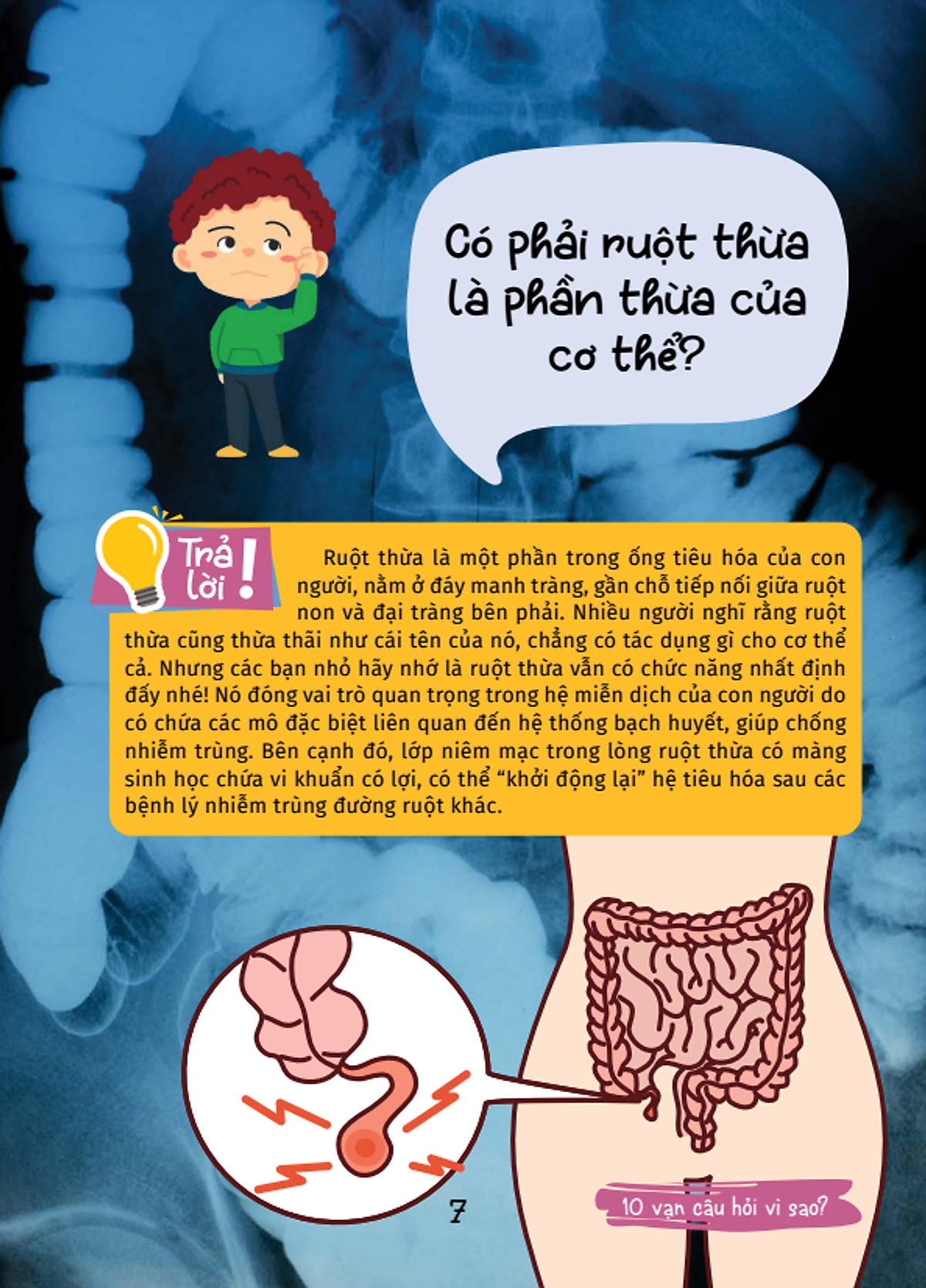 10 vạn câu hỏi vì sao - cùng bé khám phá kiến thức bách khoa - bí mật cơ thể người