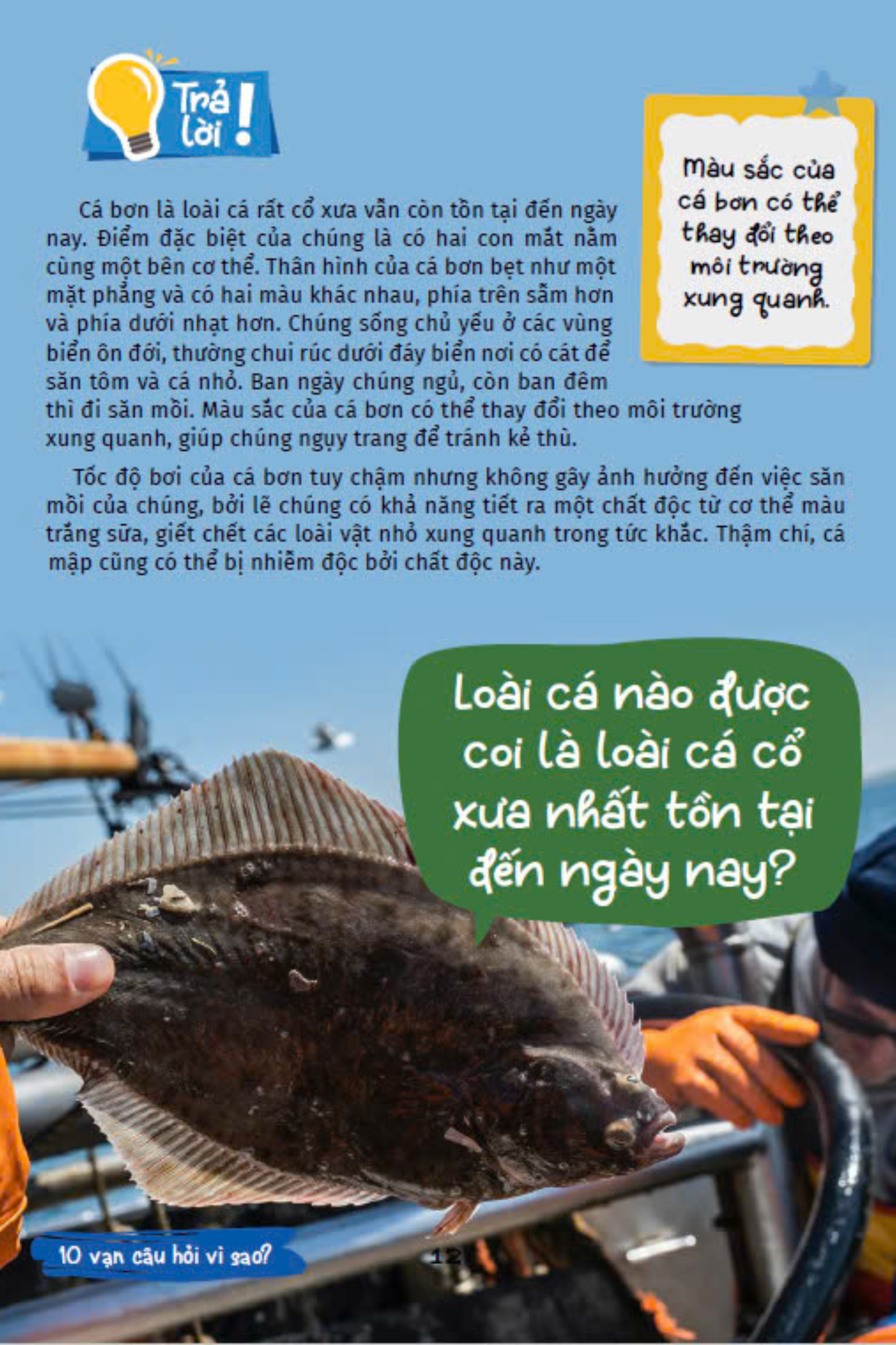 10 vạn câu hỏi vì sao - cùng bé khám phá kiến thức bách khoa - động vật dưới nước và thế giới đại dương