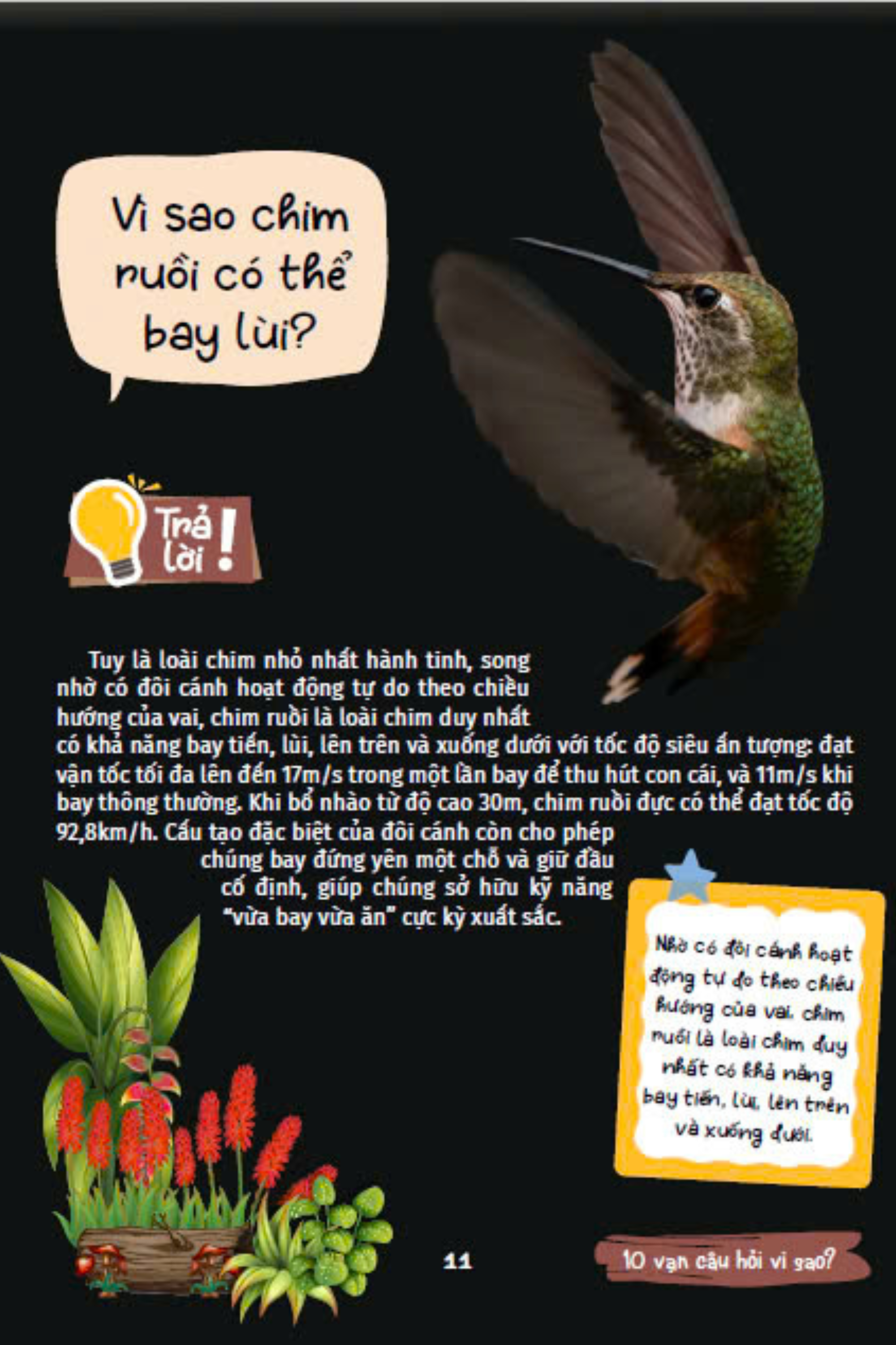 10 vạn câu hỏi vì sao - cùng bé khám phá kiến thức bách khoa - động vật kì lạ