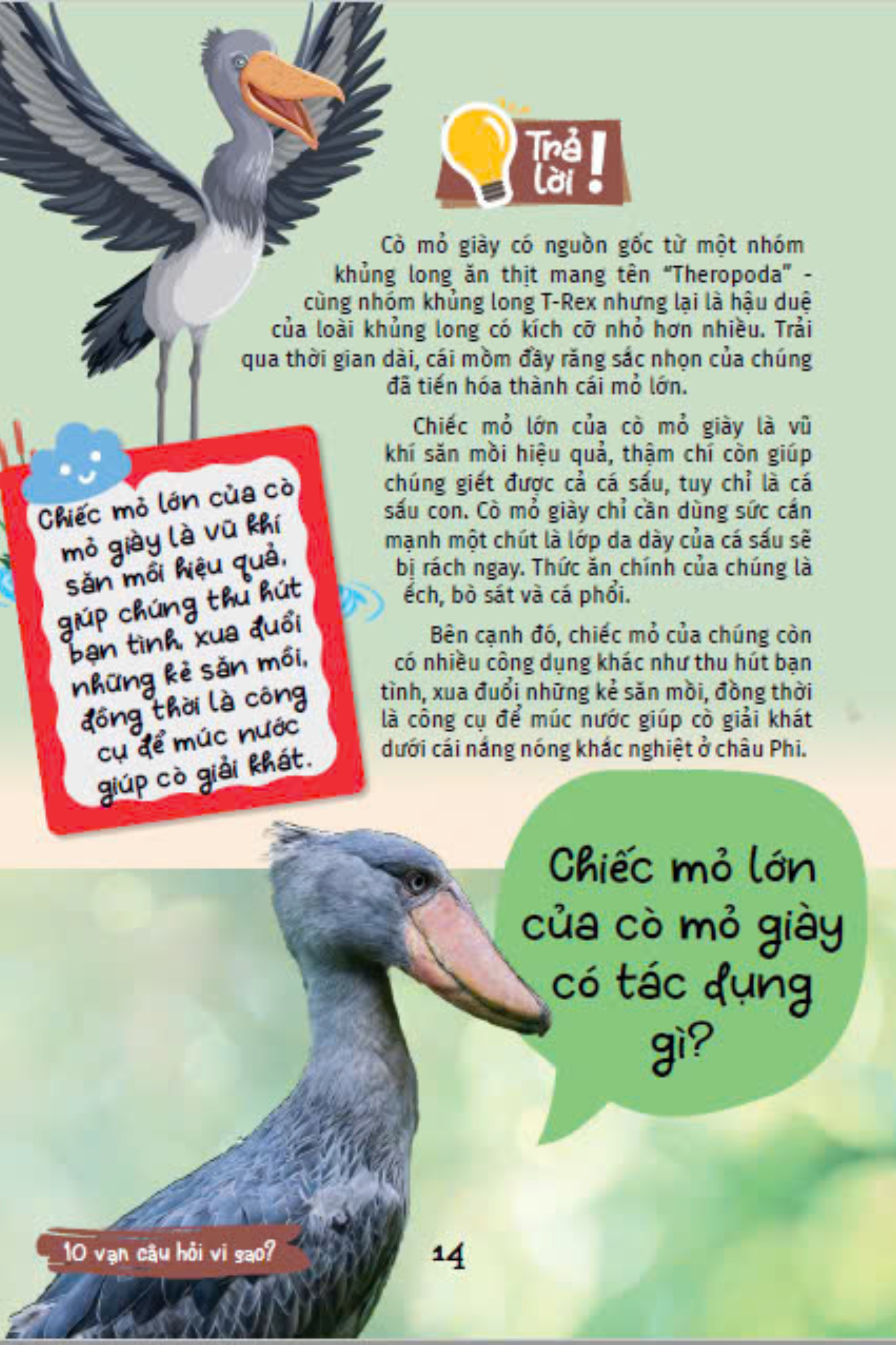 10 vạn câu hỏi vì sao - cùng bé khám phá kiến thức bách khoa - động vật kì lạ