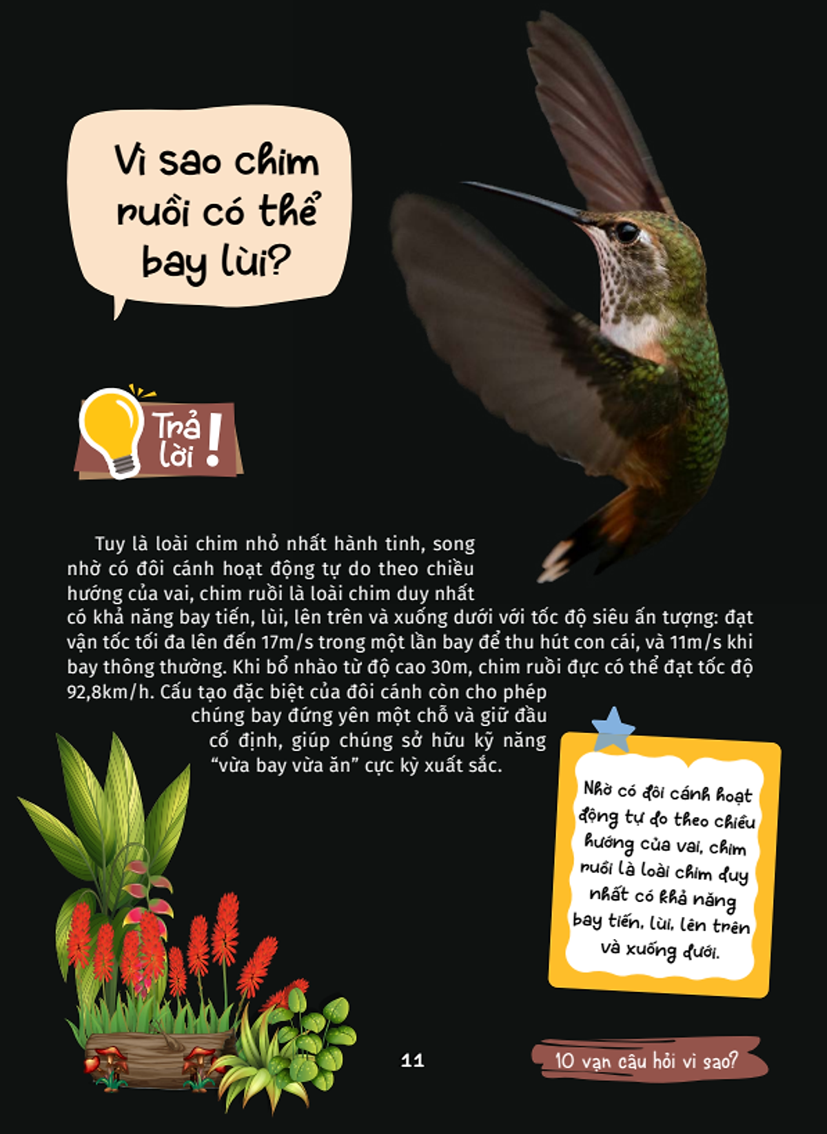 10 vạn câu hỏi vì sao - cùng bé khám phá kiến thức bách khoa - động vật kì lạ