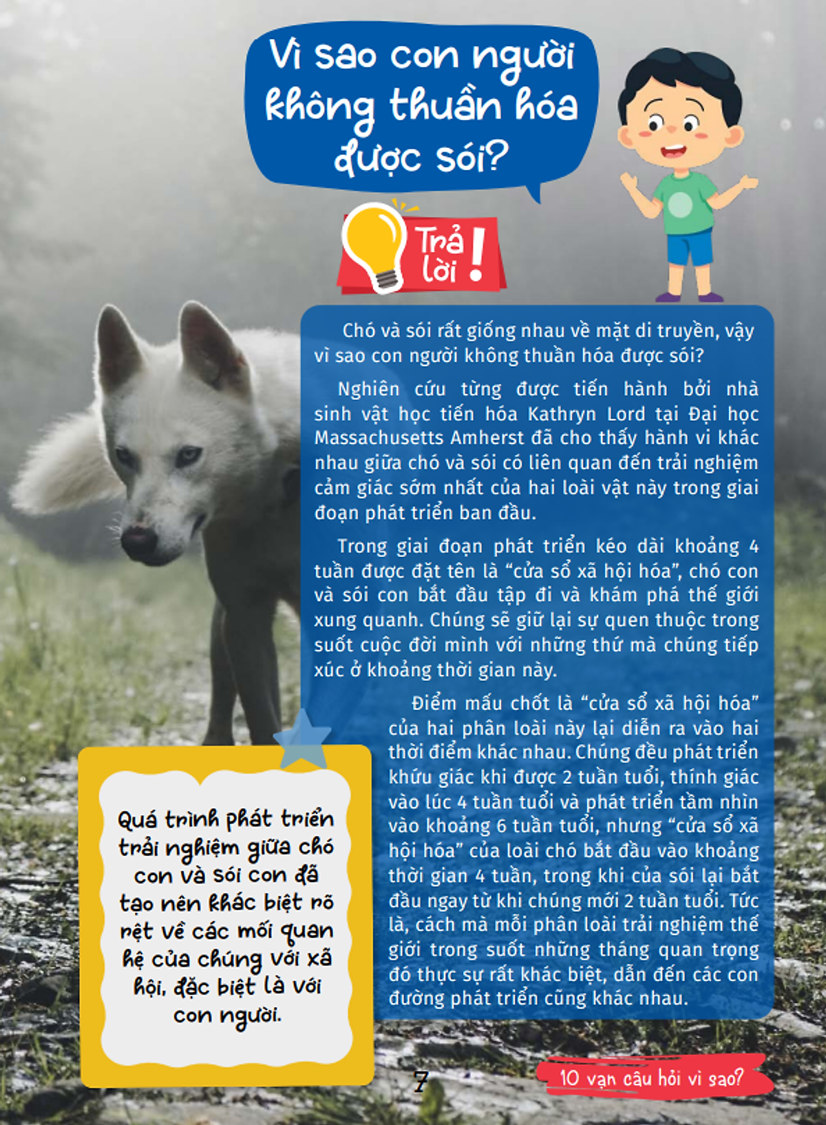 10 vạn câu hỏi vì sao - cùng bé khám phá kiến thức bách khoa - thế giới động vật - động vật hoang dã và động vật nuôi