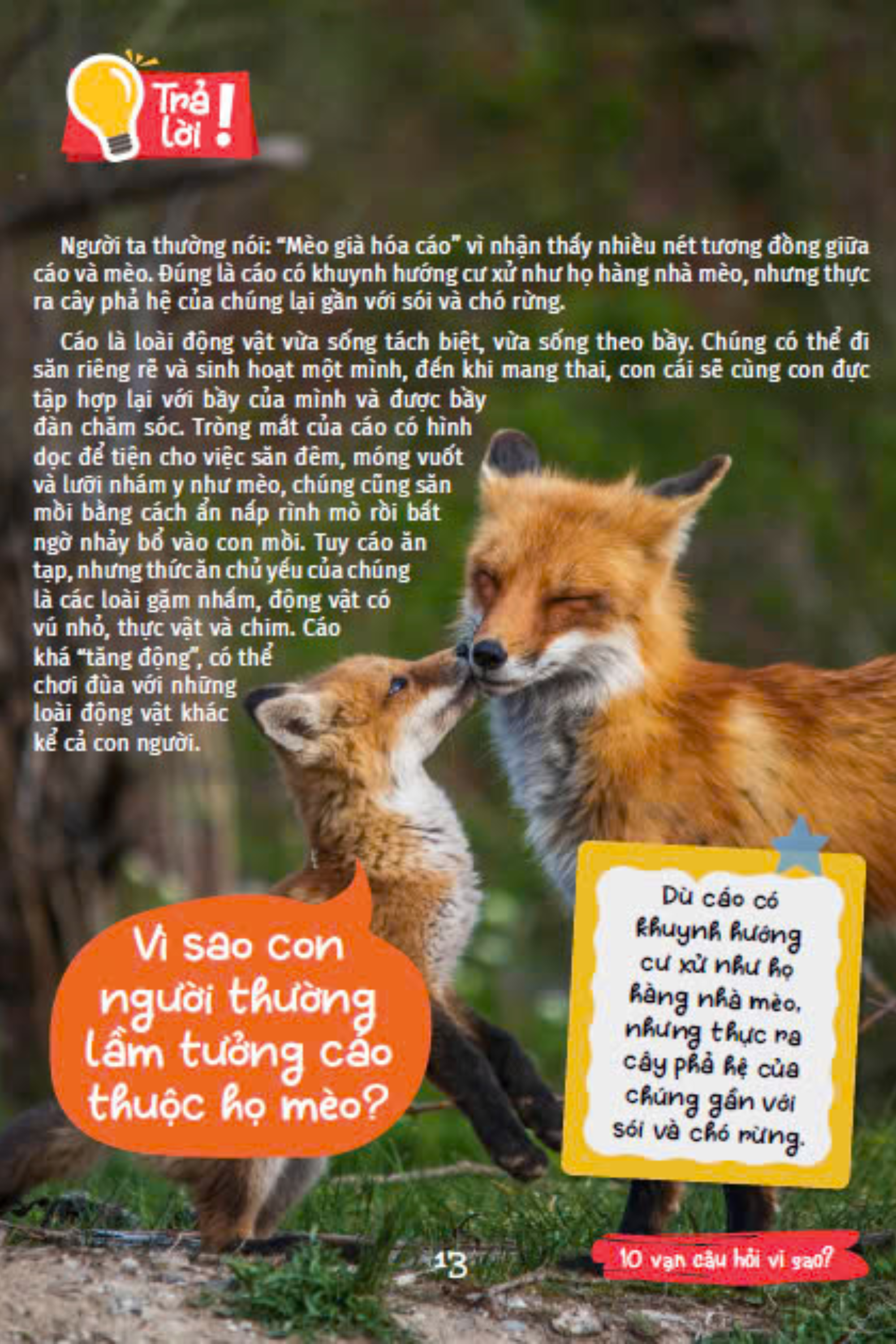 10 vạn câu hỏi vì sao - cùng bé khám phá kiến thức bách khoa - thế giới động vật - động vật hoang dã và động vật nuôi