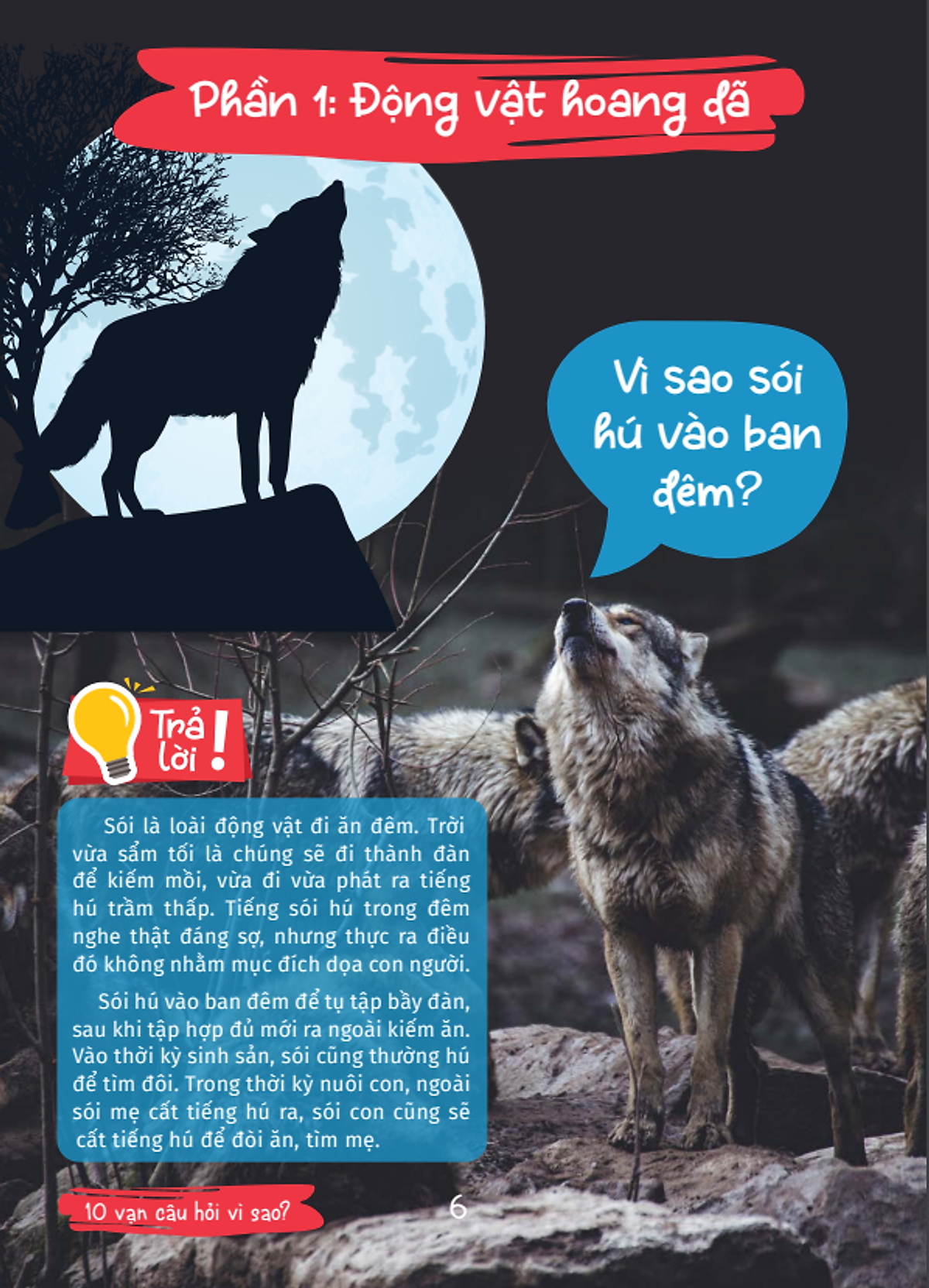 10 vạn câu hỏi vì sao - cùng bé khám phá kiến thức bách khoa - thế giới động vật - động vật hoang dã và động vật nuôi