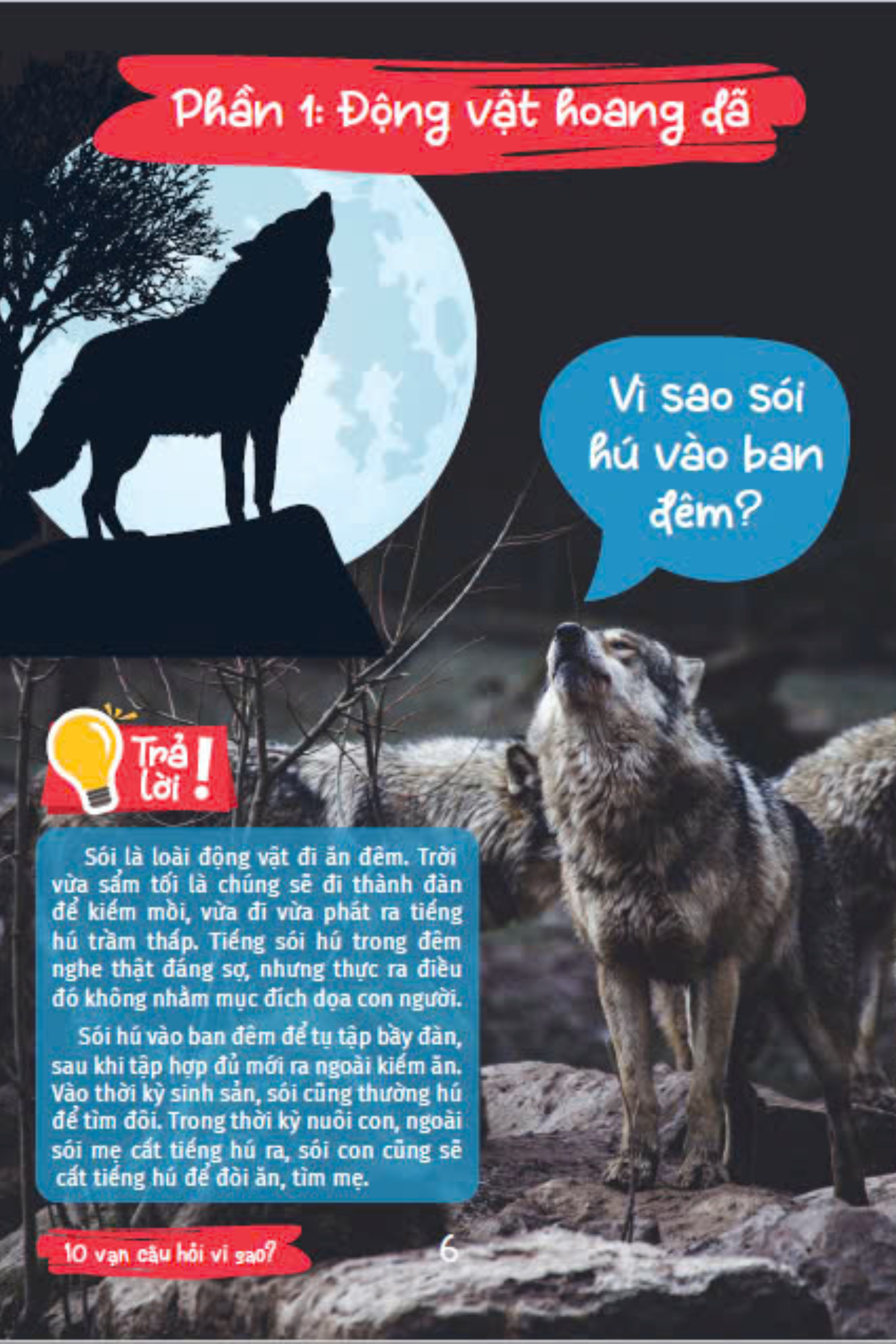 10 vạn câu hỏi vì sao - cùng bé khám phá kiến thức bách khoa - thế giới động vật - động vật hoang dã và động vật nuôi