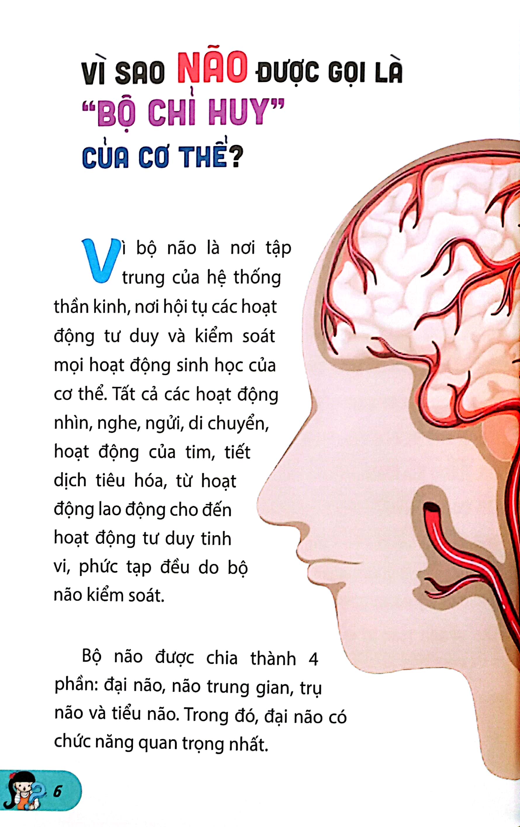 10 vạn câu hỏi vì sao-những câu hỏi thú vị về cơ thể người