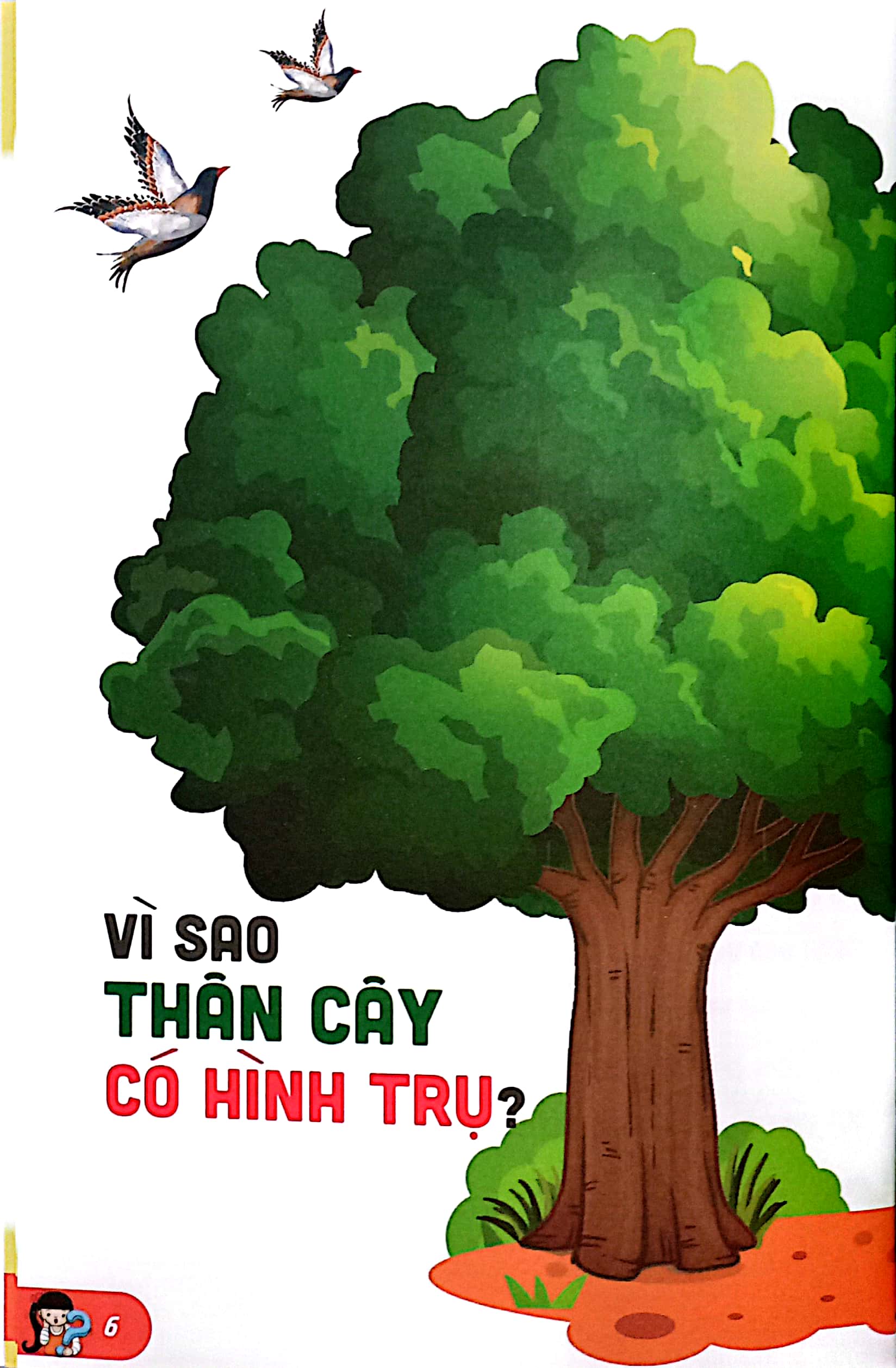 10 vạn câu hỏi vì sao-những câu hỏi thú vị về thế giới thực vật