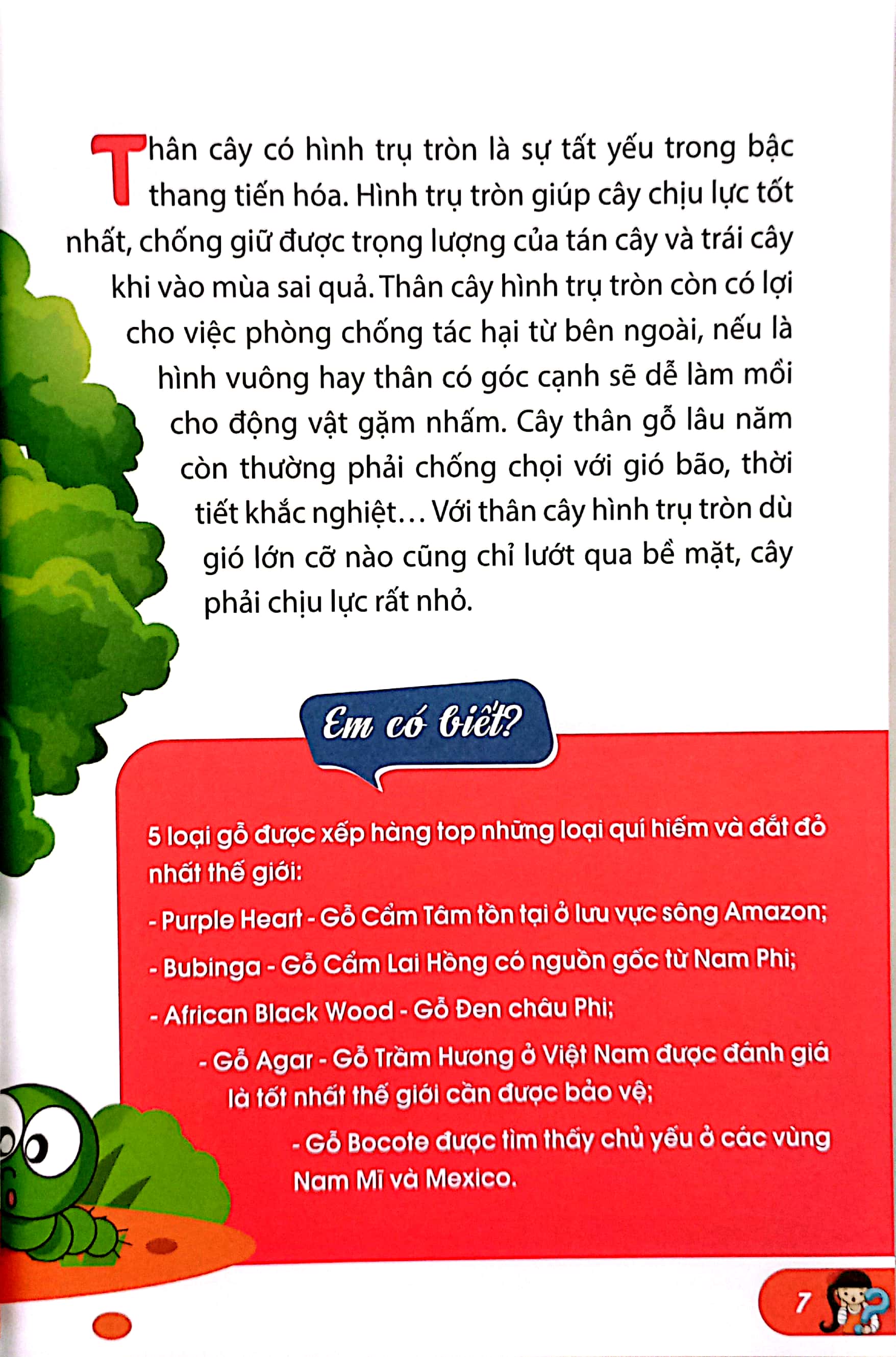 10 vạn câu hỏi vì sao-những câu hỏi thú vị về thế giới thực vật