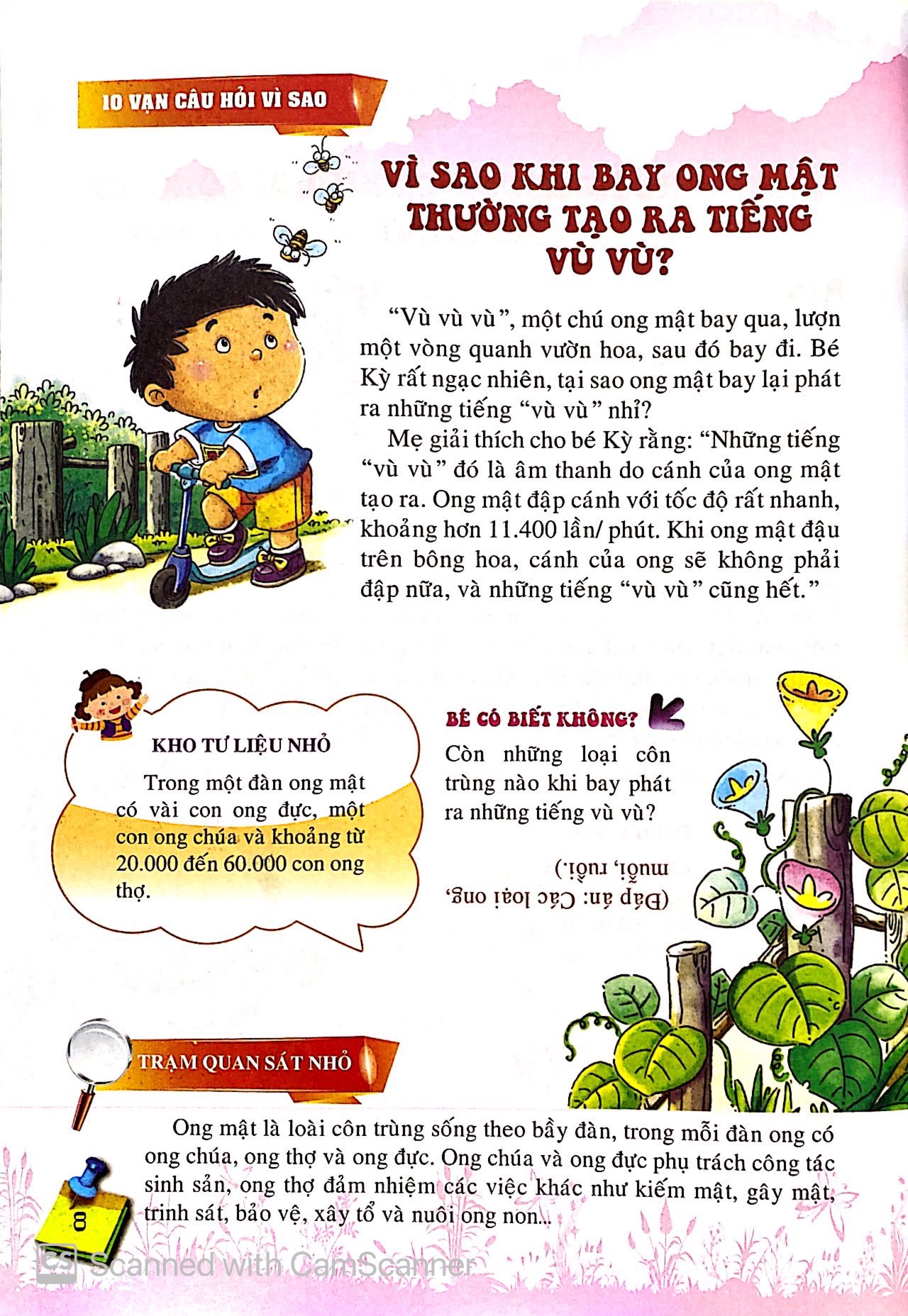 10 vạn câu hỏi vì sao - những loài và vật biết bay