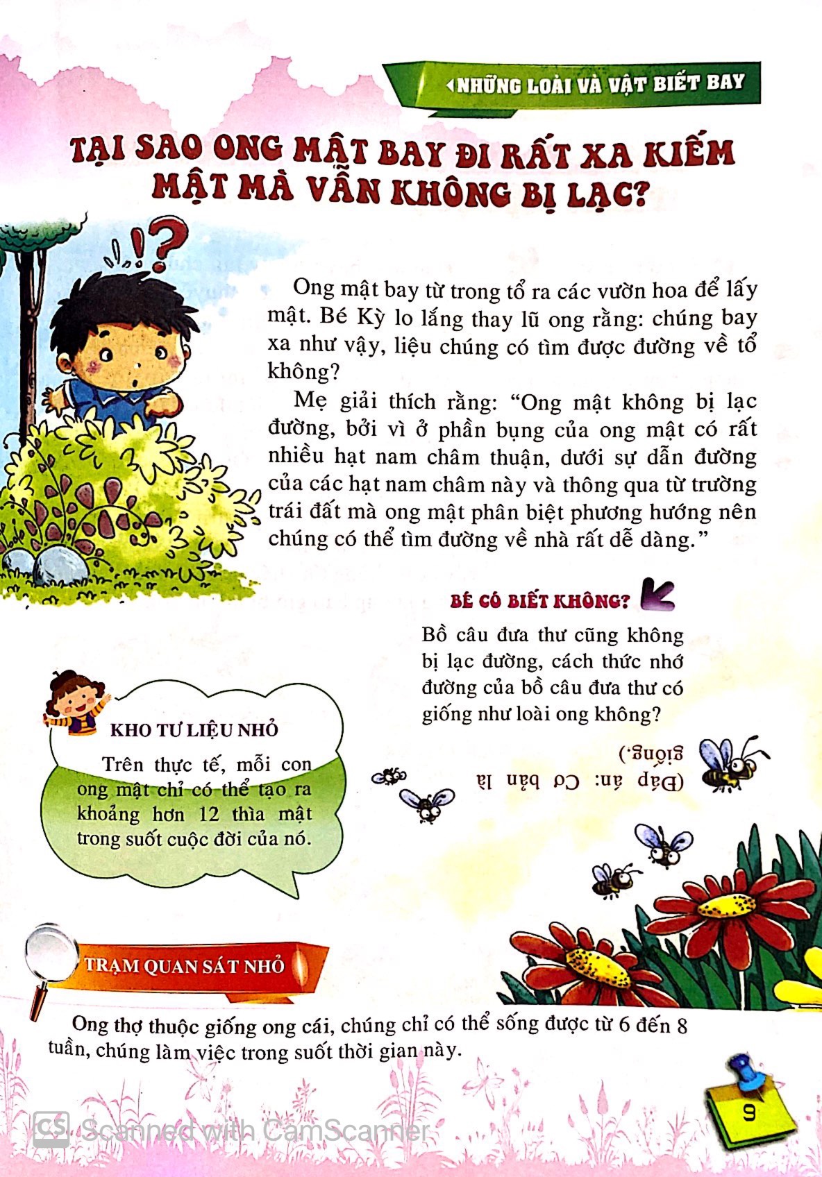 10 vạn câu hỏi vì sao - những loài và vật biết bay