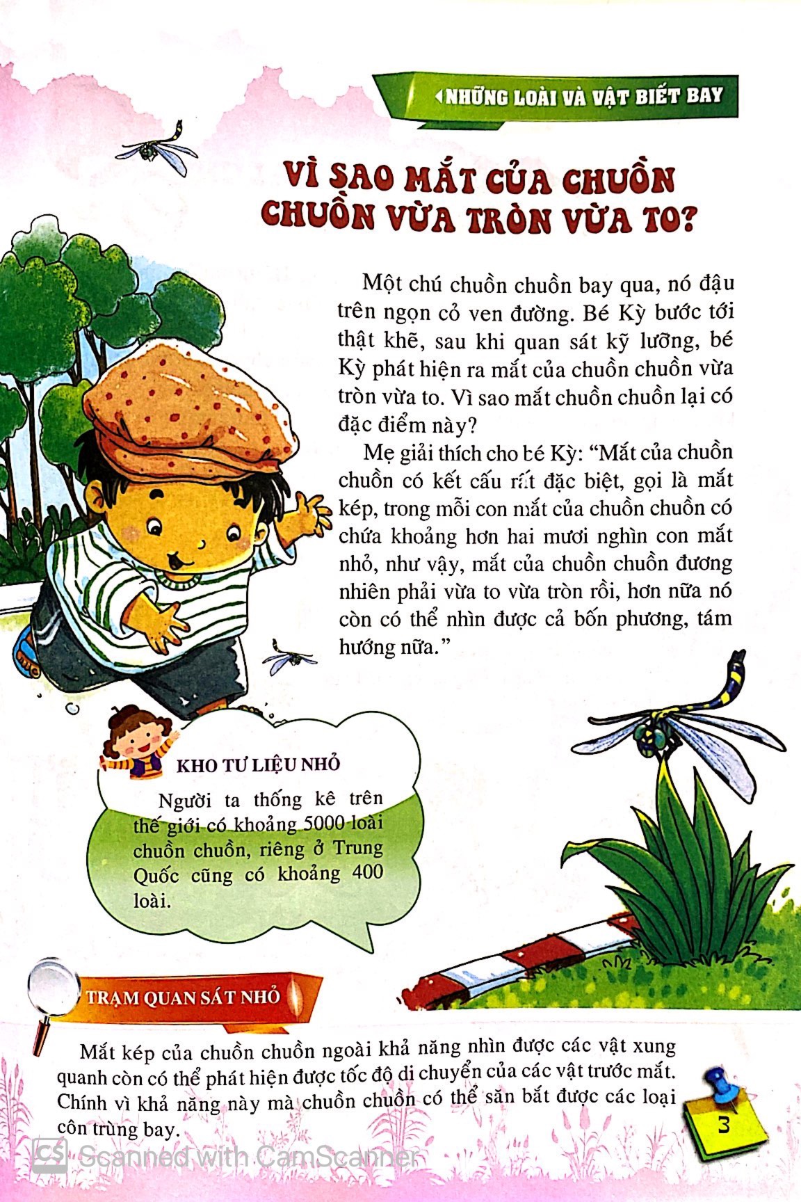 10 vạn câu hỏi vì sao - những loài và vật biết bay