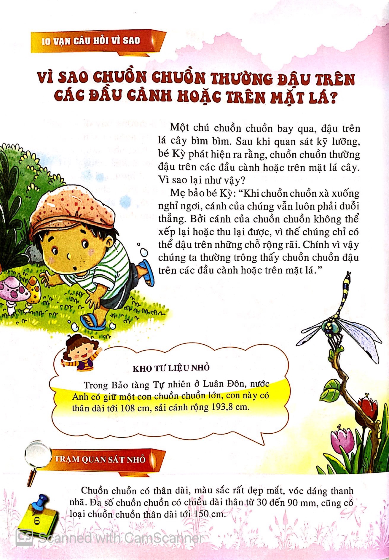 10 vạn câu hỏi vì sao - những loài và vật biết bay