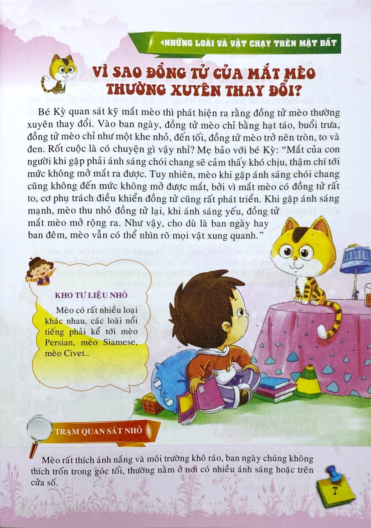 10 vạn câu hỏi vì sao - những loài và vật chạy trên mặt đất