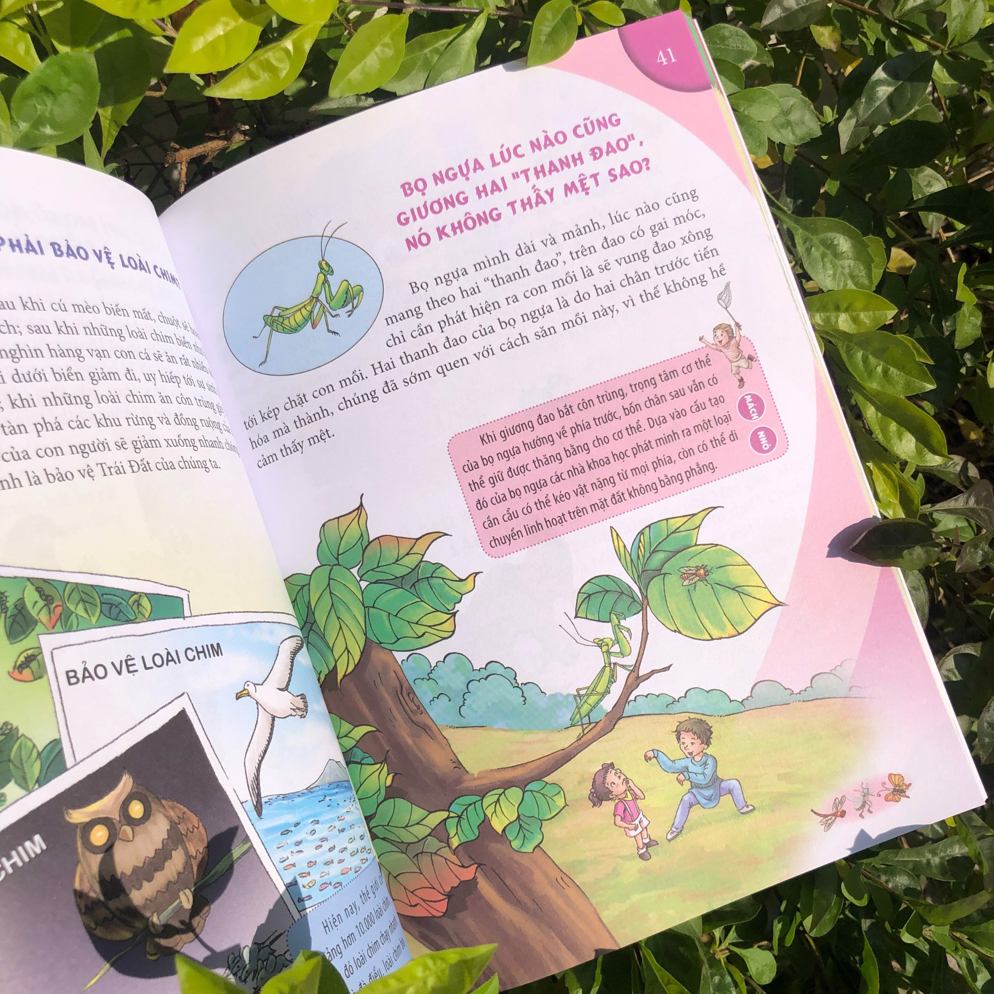 10 vạn câu hỏi vì sao - sức khỏe và thói quen