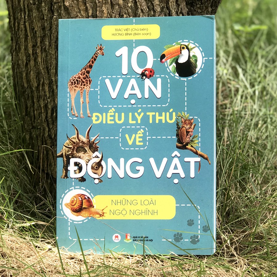 10 vạn điều lý thú về động vật - những loài ngộ nghĩnh