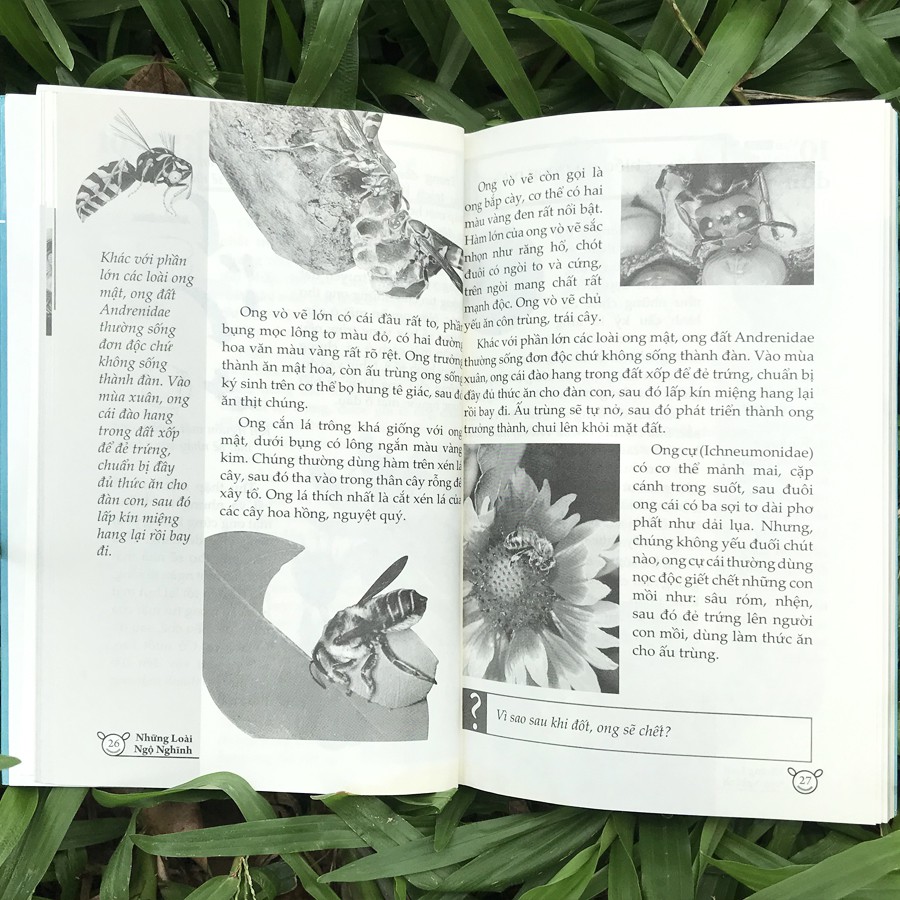 10 vạn điều lý thú về động vật - những loài ngộ nghĩnh