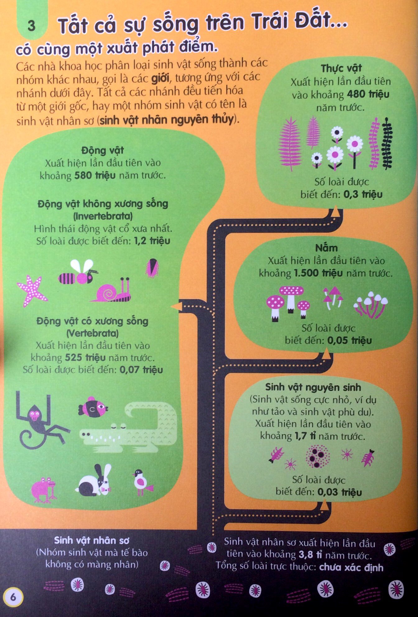 100 bí ẩn đáng kinh ngạc về khoa học