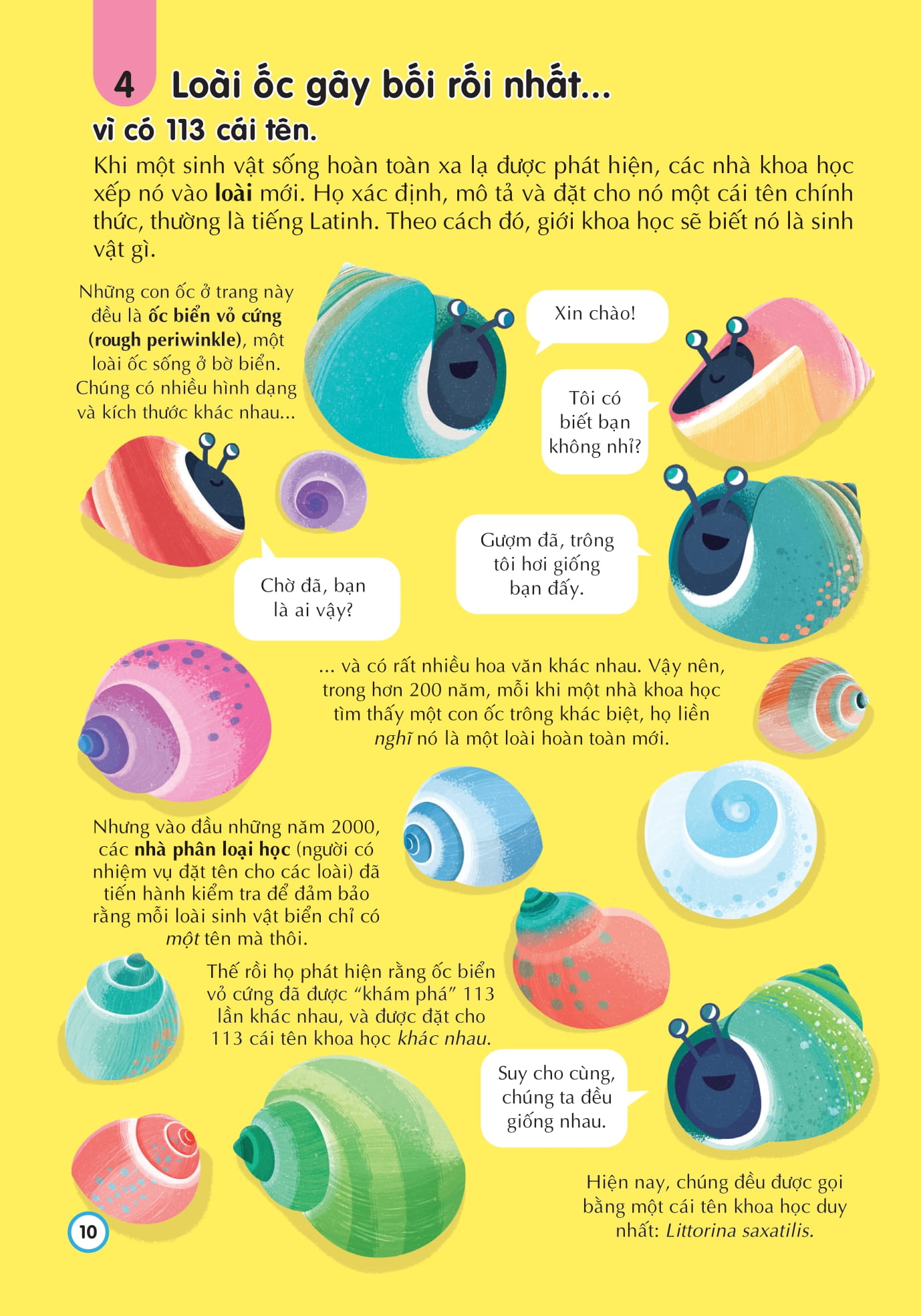 100 bí ẩn đáng kinh ngạc về những điều chưa biết - 100 things to know about the unknown