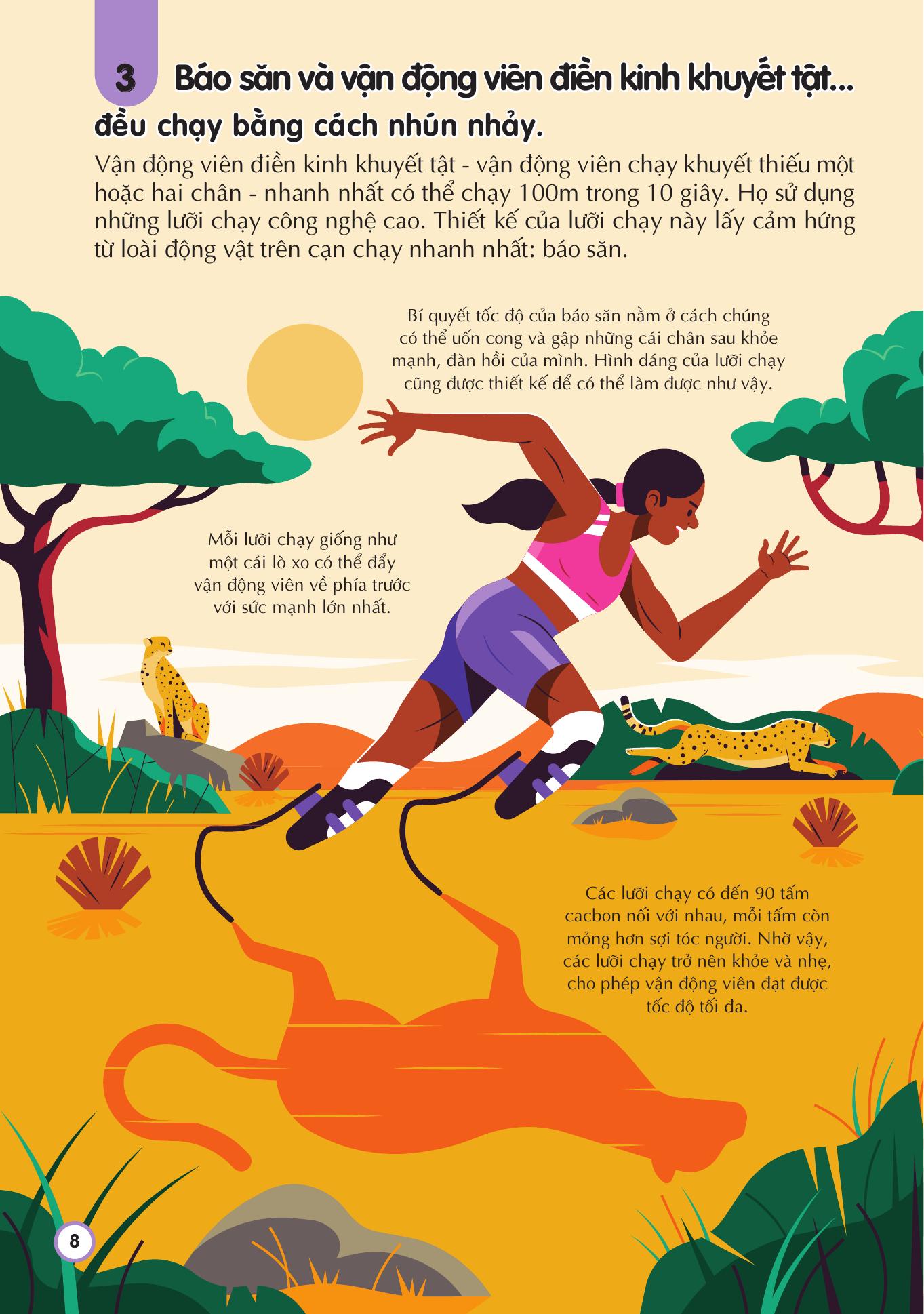 100 bí ẩn đáng kinh ngạc về thể thao - 100 things to know about sport - bìa cứng