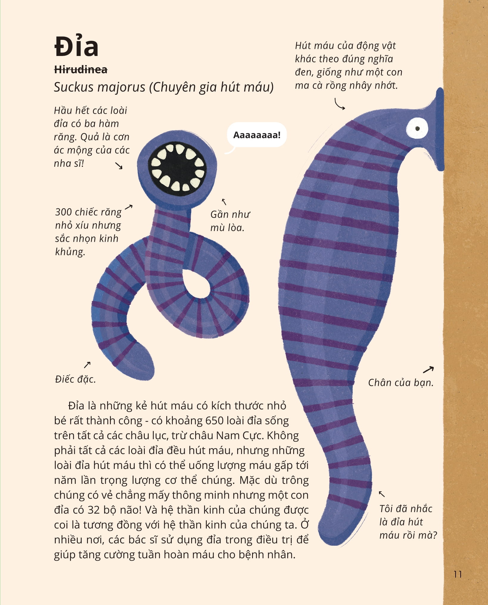 100++ bí ẩn về tự nhiên - những động vật đáng kinh ngạc vô dụng nhất