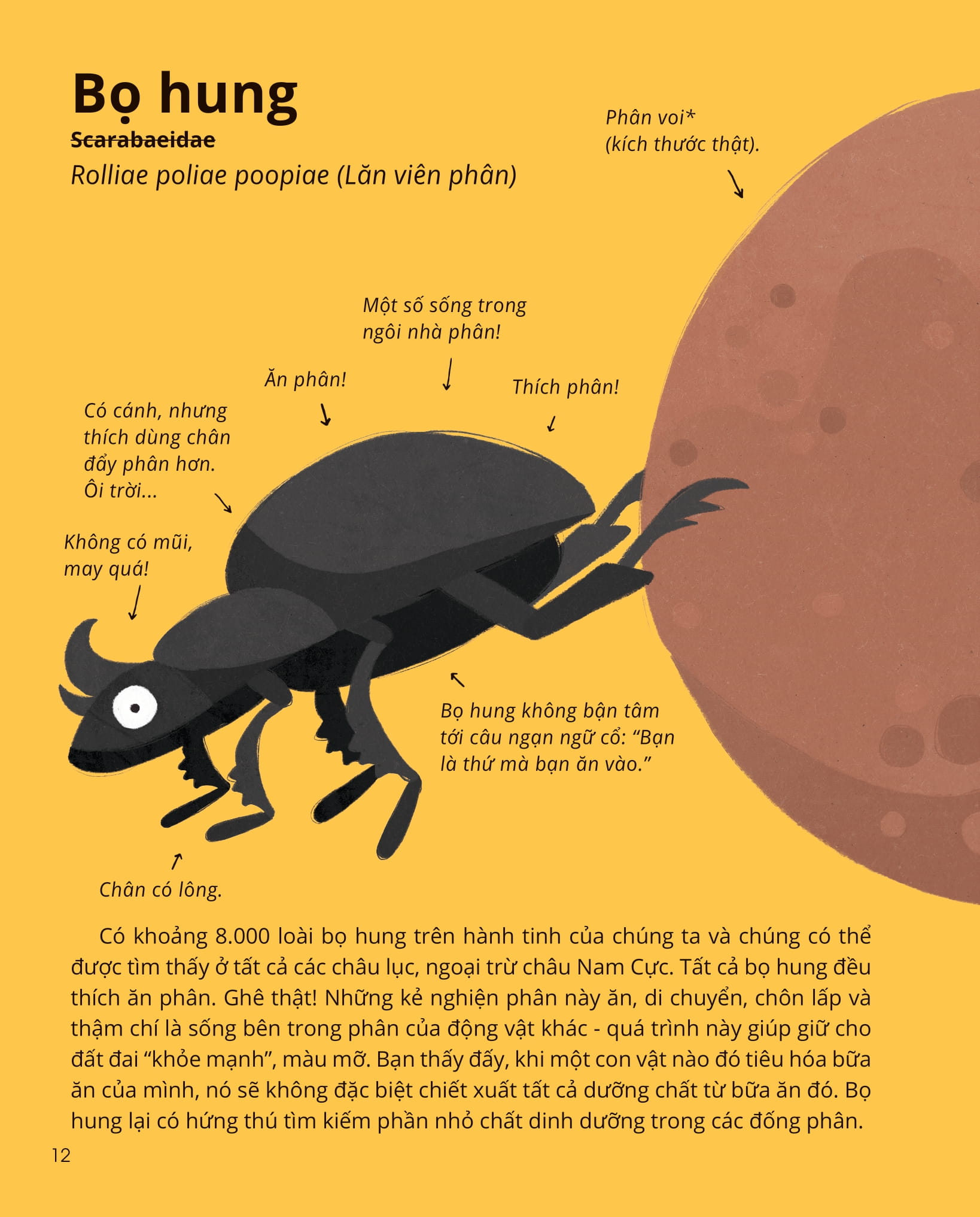 100++ bí ẩn về tự nhiên - những động vật đáng kinh ngạc vô dụng nhất