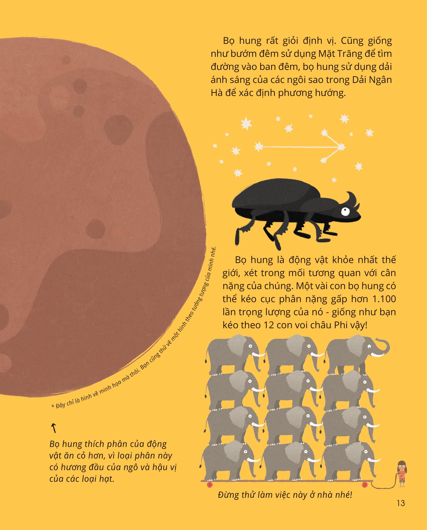 100++ bí ẩn về tự nhiên - những động vật đáng kinh ngạc vô dụng nhất