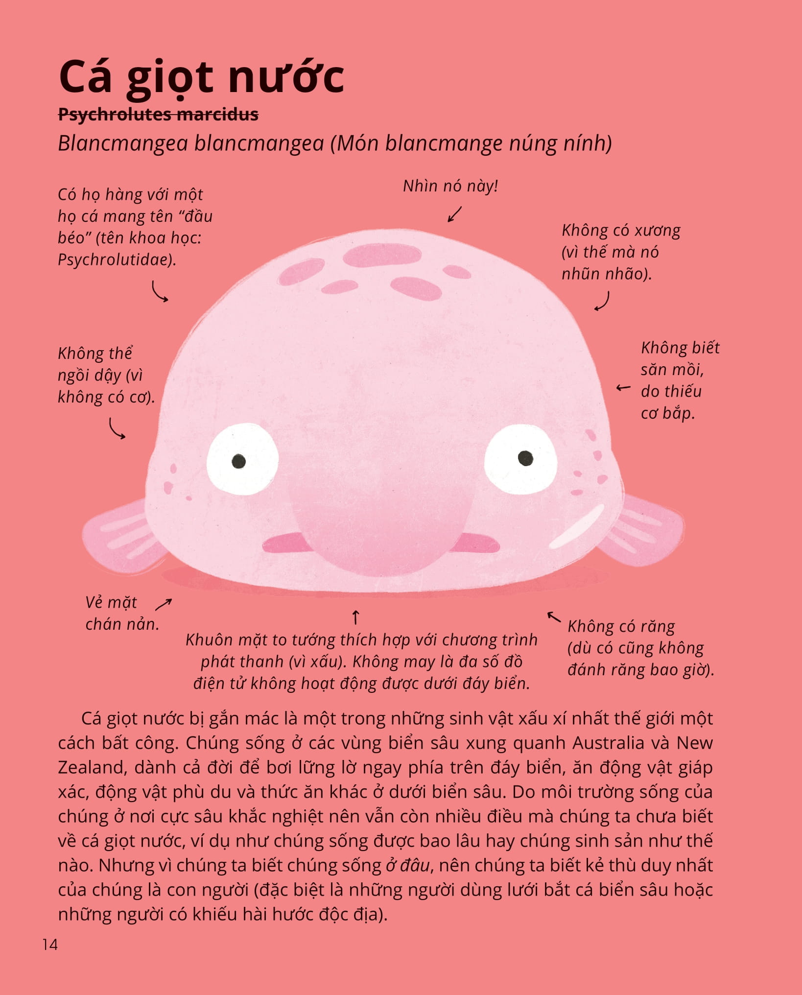 100++ bí ẩn về tự nhiên - những động vật đáng kinh ngạc vô dụng nhất