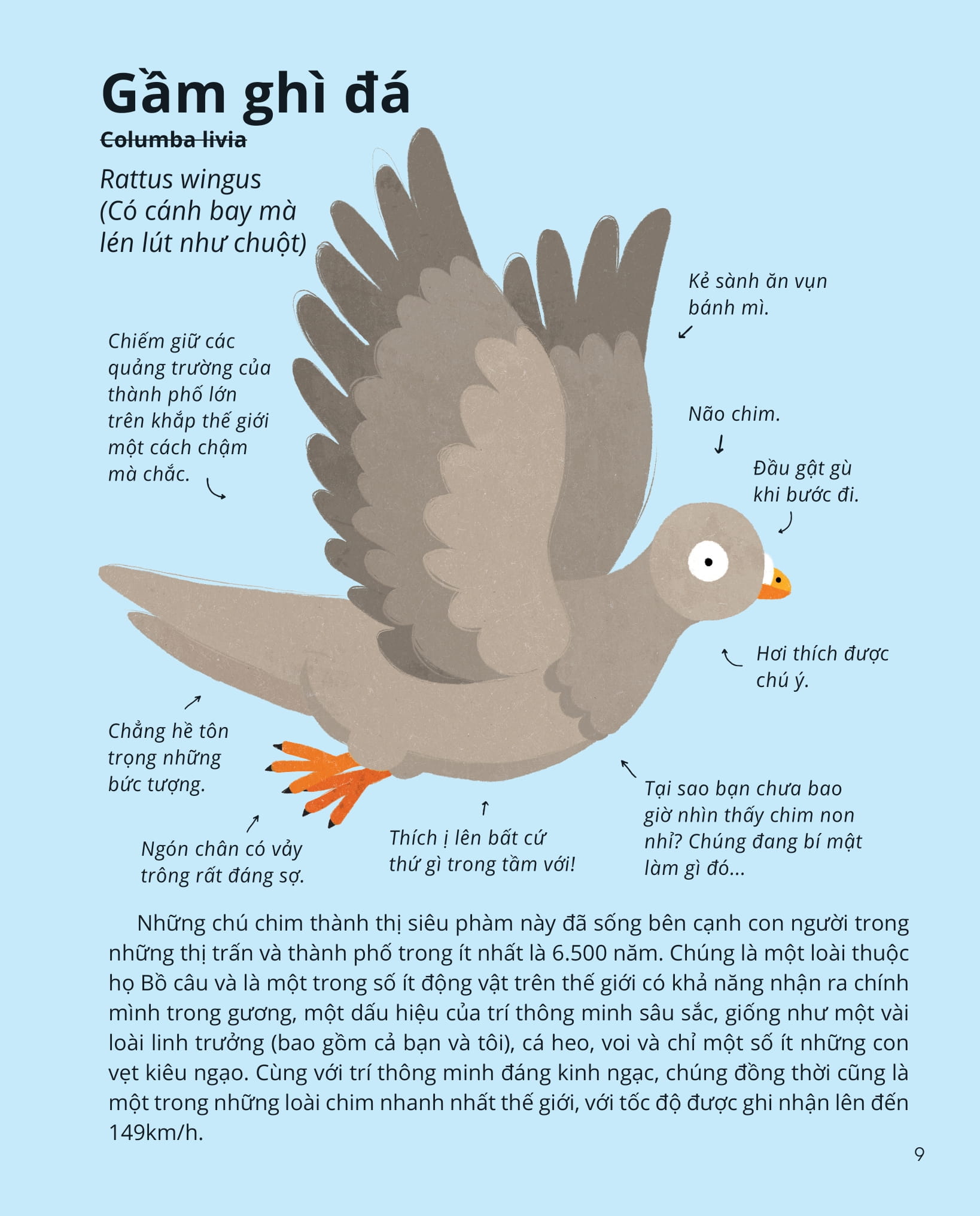 100++ bí ẩn về tự nhiên - những động vật đáng kinh ngạc vô dụng nhất