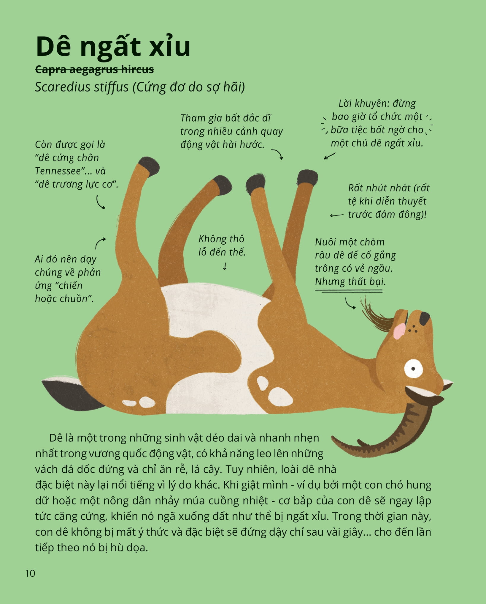 100++ bí ẩn về tự nhiên - những động vật đáng kinh ngạc vô dụng nhất