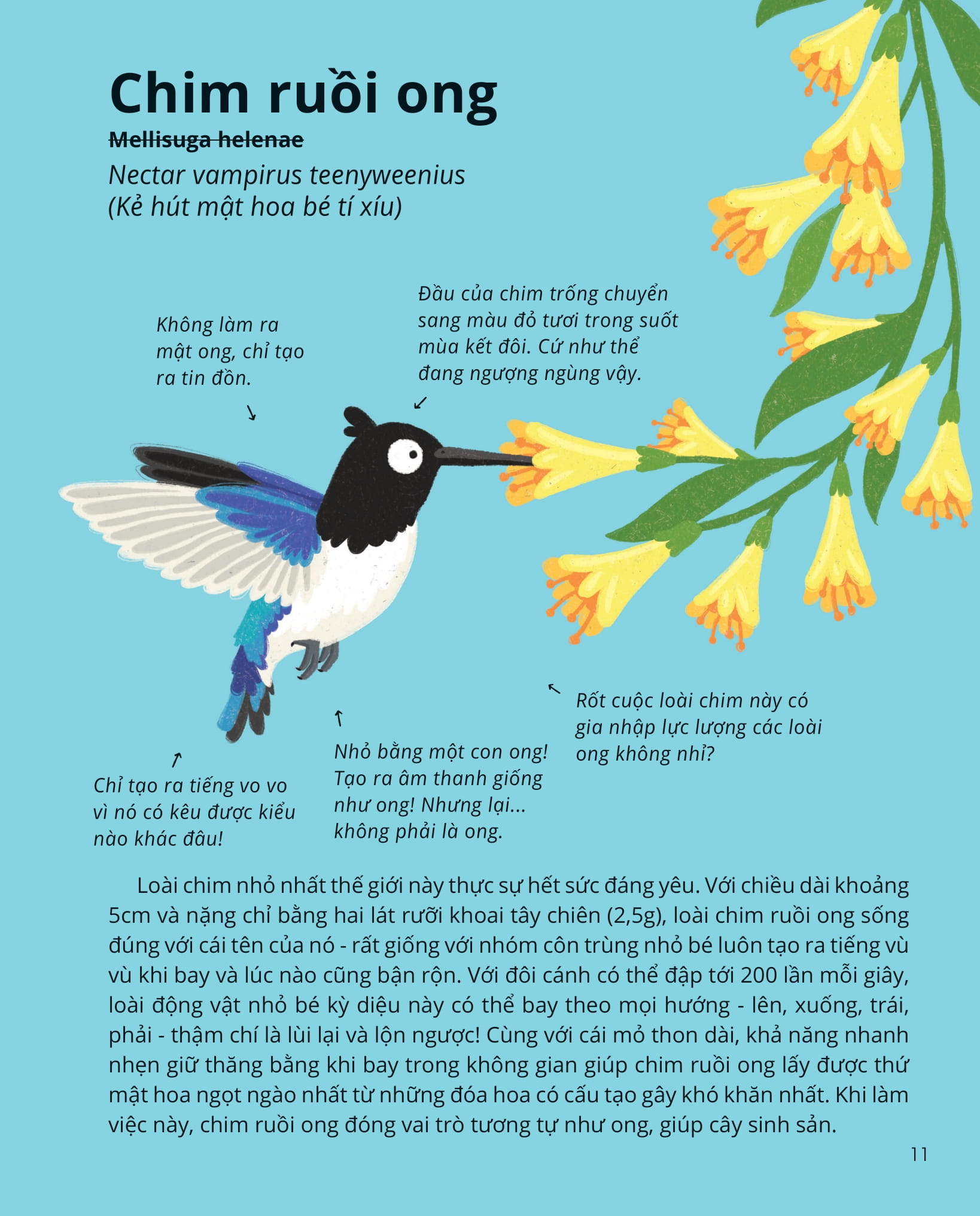 100++ bí ẩn về tự nhiên - những động vật kỳ diệu nực cười nhất