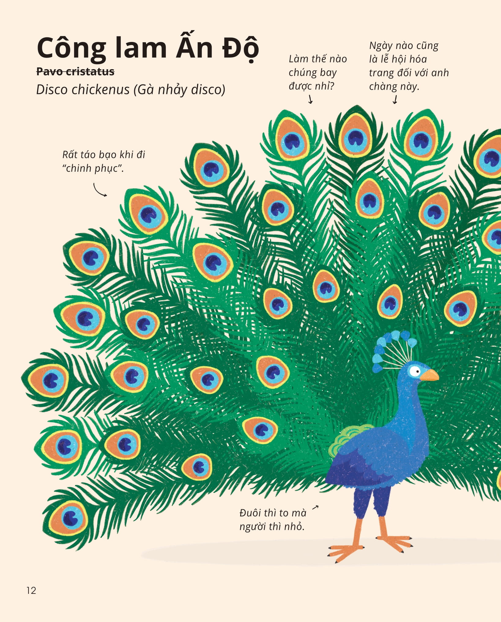 100++ bí ẩn về tự nhiên - những động vật kỳ diệu nực cười nhất