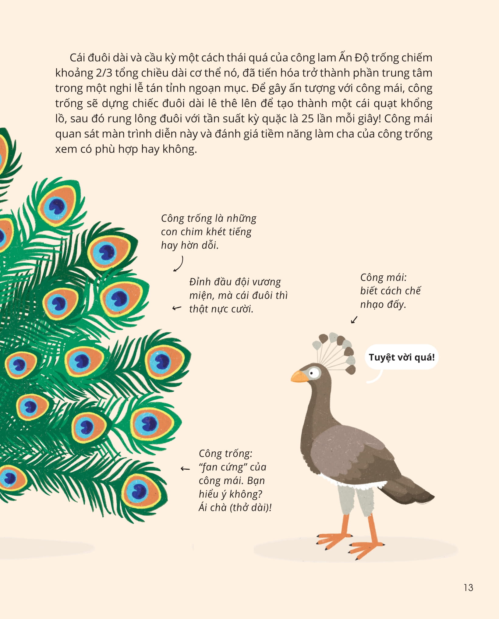 100++ bí ẩn về tự nhiên - những động vật kỳ diệu nực cười nhất