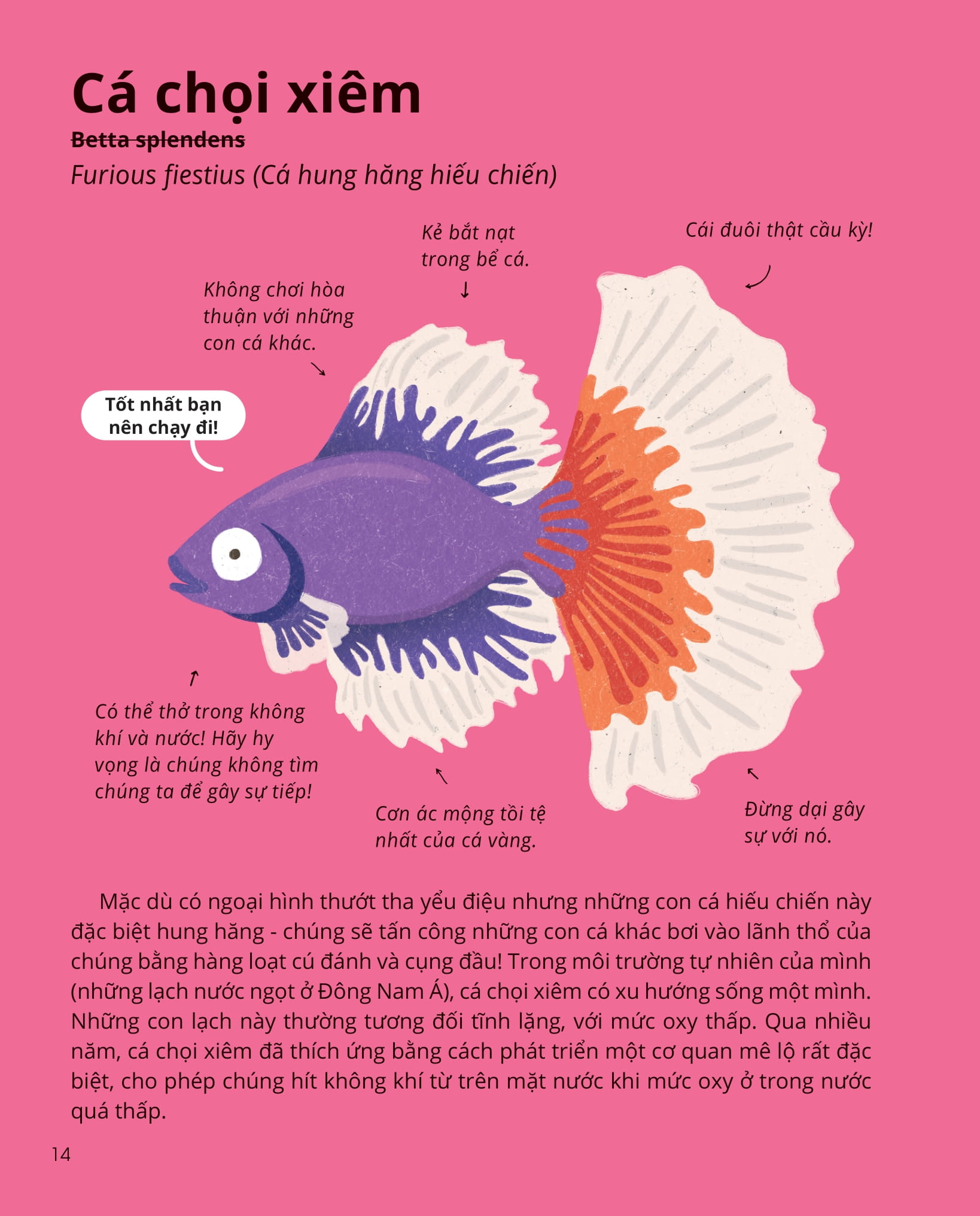 100++ bí ẩn về tự nhiên - những động vật kỳ diệu nực cười nhất