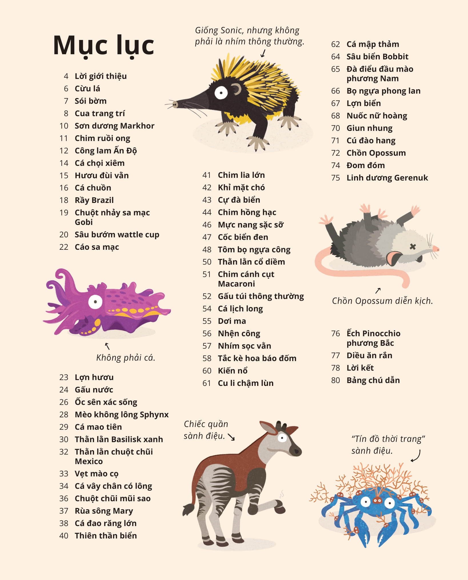 100++ bí ẩn về tự nhiên - những động vật kỳ diệu nực cười nhất