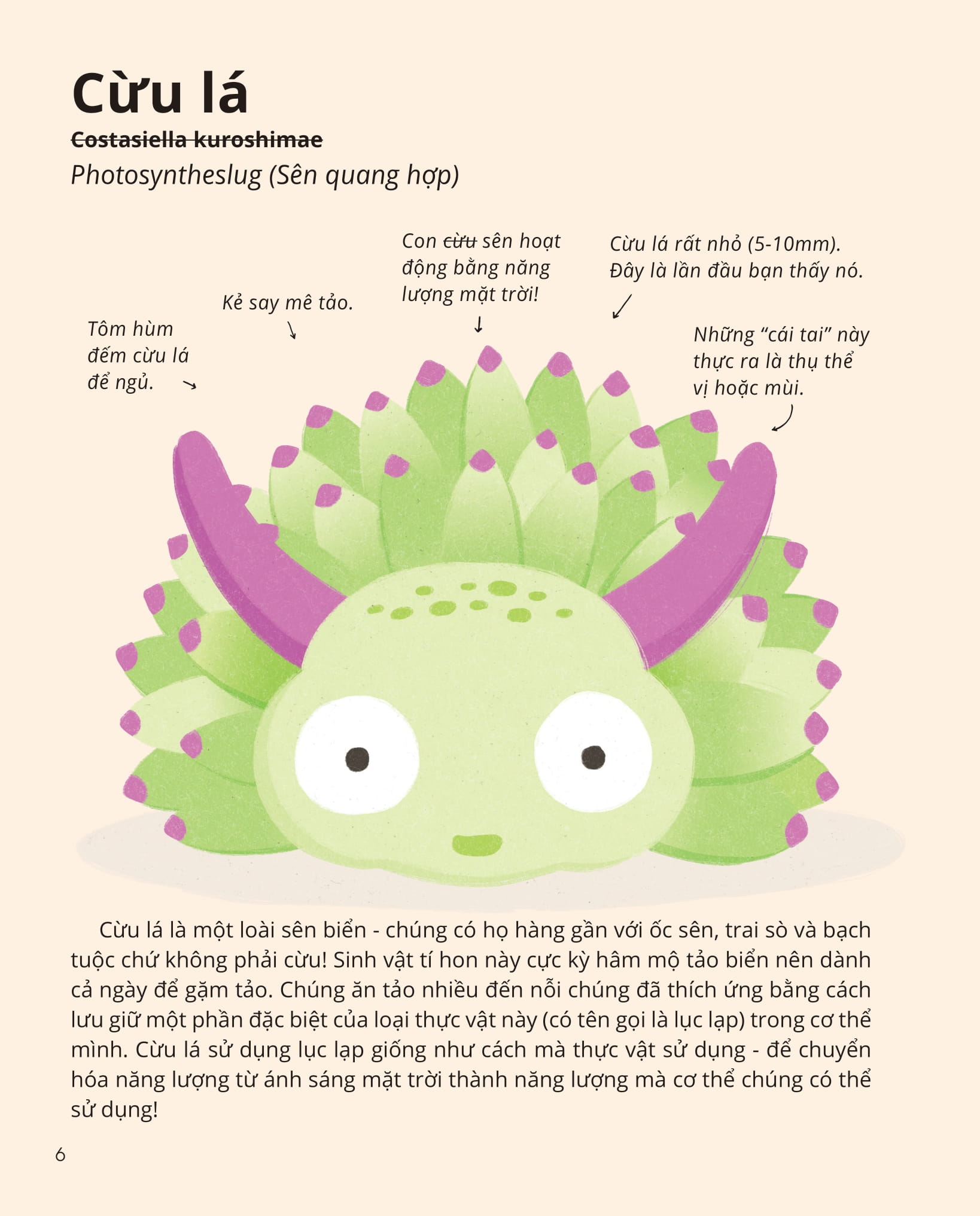 100++ bí ẩn về tự nhiên - những động vật kỳ diệu nực cười nhất