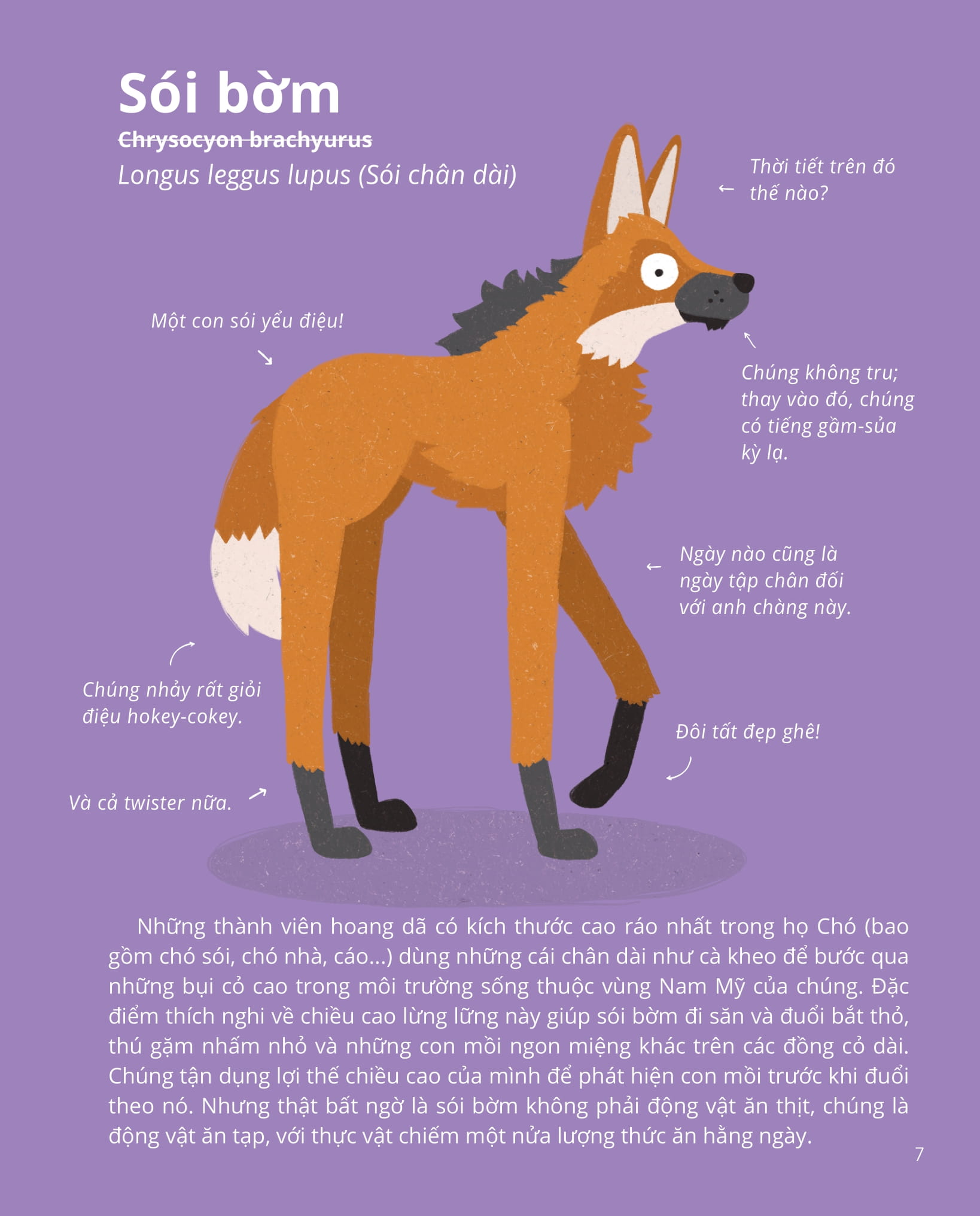 100++ bí ẩn về tự nhiên - những động vật kỳ diệu nực cười nhất