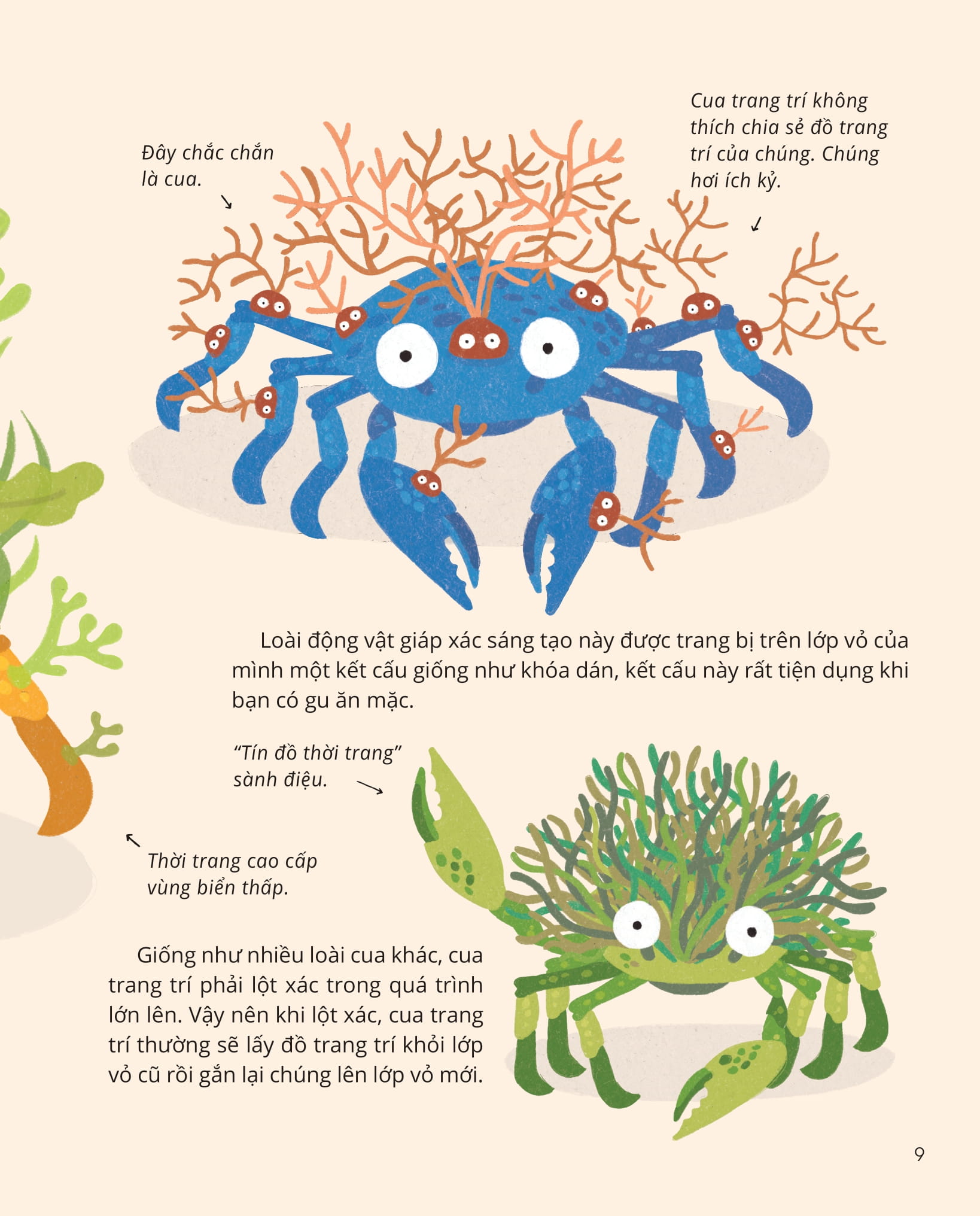 100++ bí ẩn về tự nhiên - những động vật kỳ diệu nực cười nhất