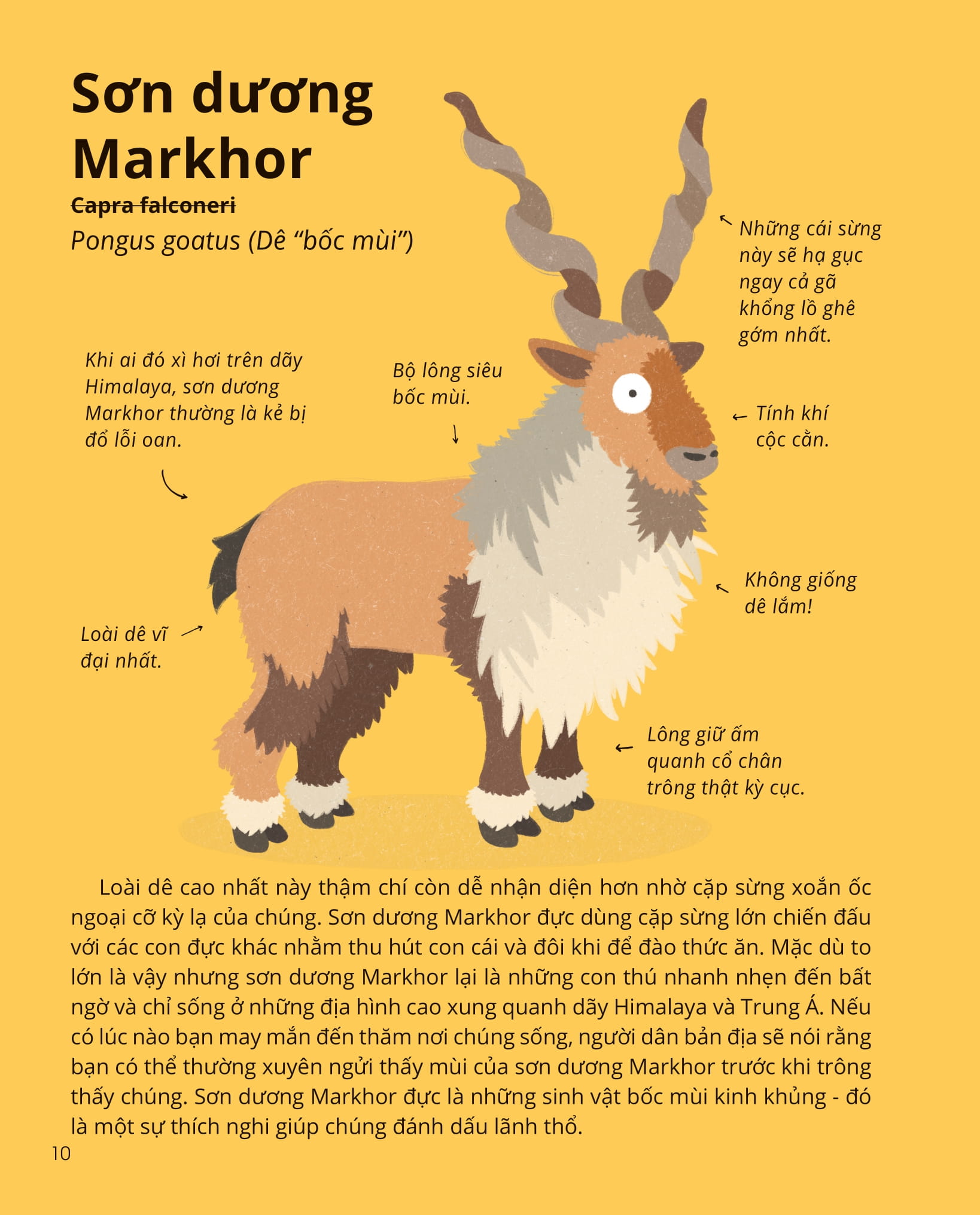 100++ bí ẩn về tự nhiên - những động vật kỳ diệu nực cười nhất