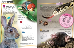 100 facts: animal life