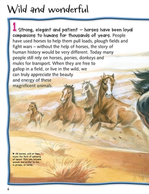 100 facts horses & ponies