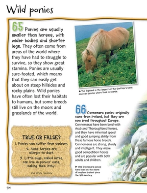 100 facts horses & ponies