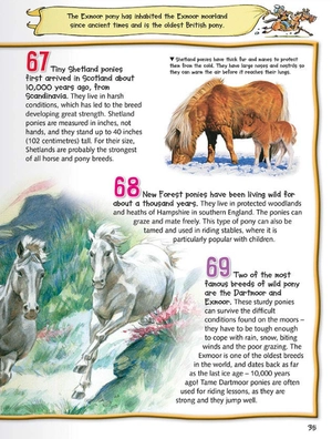 100 facts horses & ponies