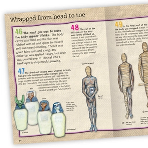 100 facts mummies