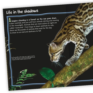 100 facts nocturnal animals