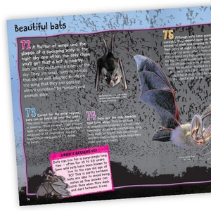 100 facts nocturnal animals