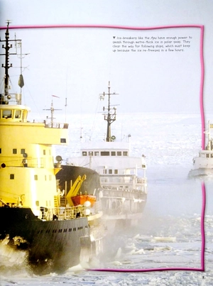 100 facts polar lands