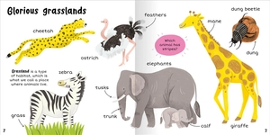 100+ first words - animals